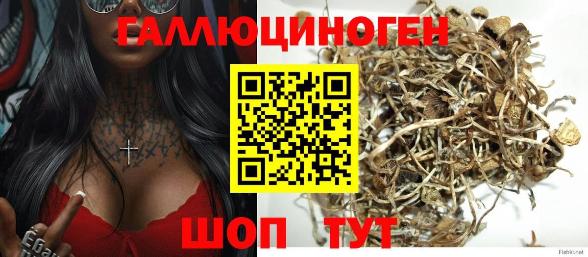 Псилоцибиновые грибы прущие грибы Пыть-Ях