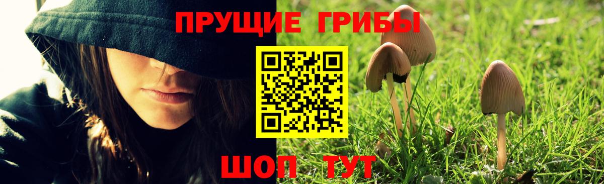 Галлюциногенные грибы Magic Shrooms  купить наркотик  Вход с VPN  Пыть-Ях  Псилоцибиновые грибы GOLDEN TEACHER 